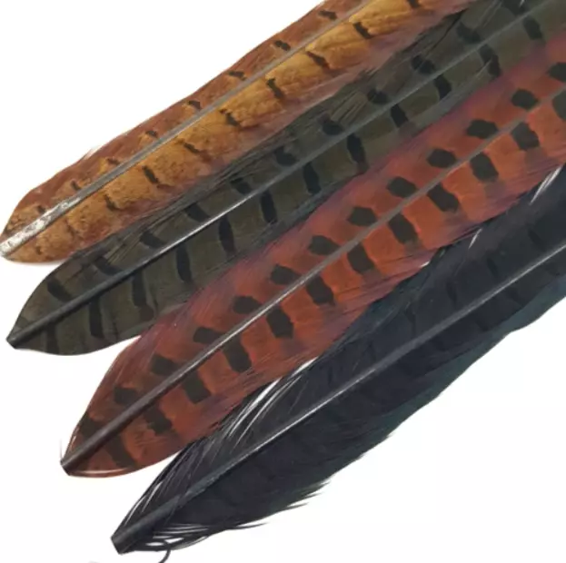 Soldarini Pheasant Tail - Muut sulat ja höyhenet - 2025011741 - 1