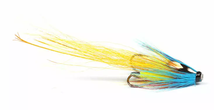 Sunburst Garry Dog Pig - Putkiperhot - 7033840119581 - 1