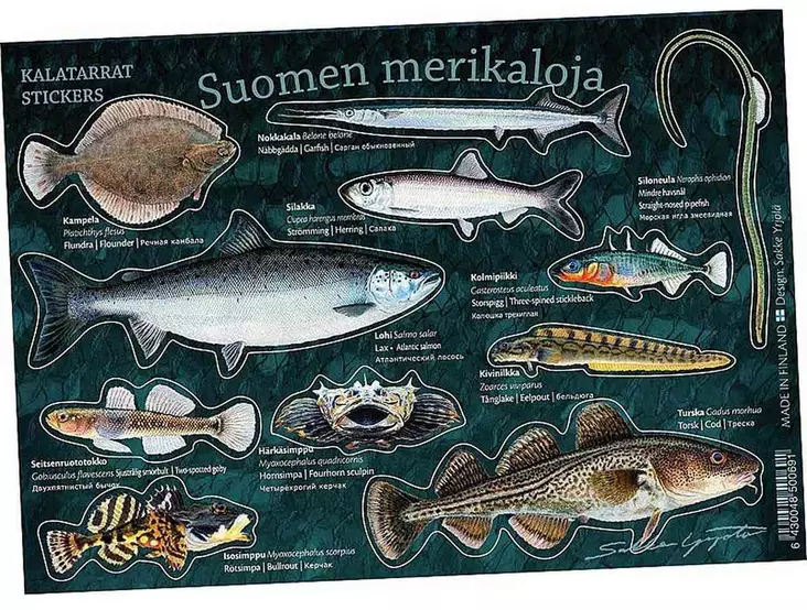 Suomen merikaloja - Kalatarrat - Painotuotteet - 6430048500691 - 1