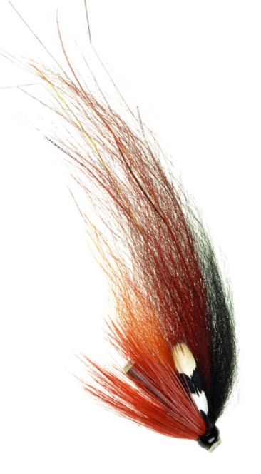 US Red Sandy - Putkiperhot - 7033840120921 - 2