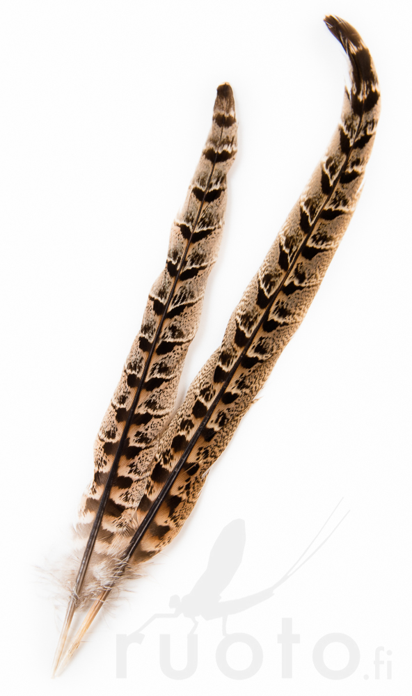 Veniard Hen Pheasant Centre Tails - Pyrstöt - 5056304604616 - 1