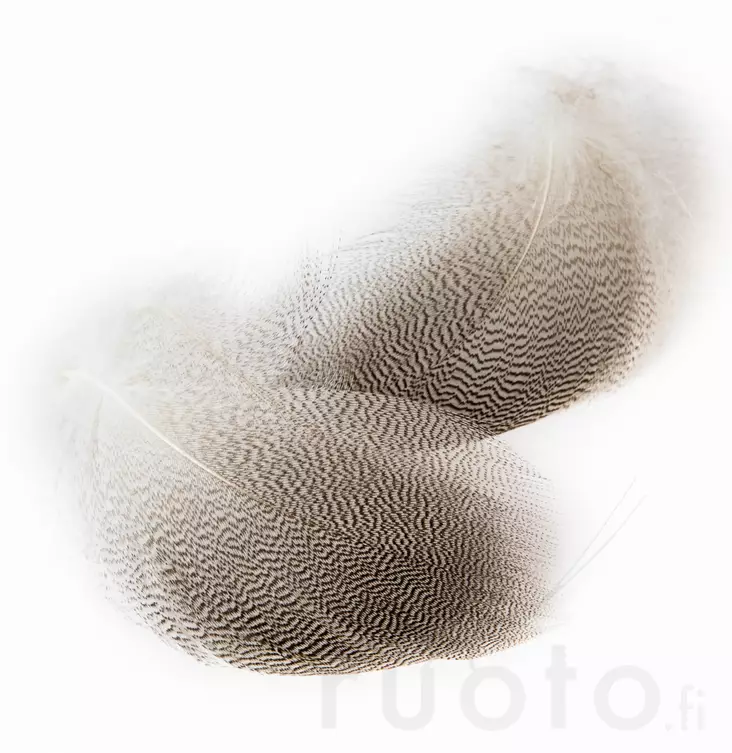 Veniard Mallard Drake Grey Flank Large - Klassiset sulat - 5056304602261 - 1