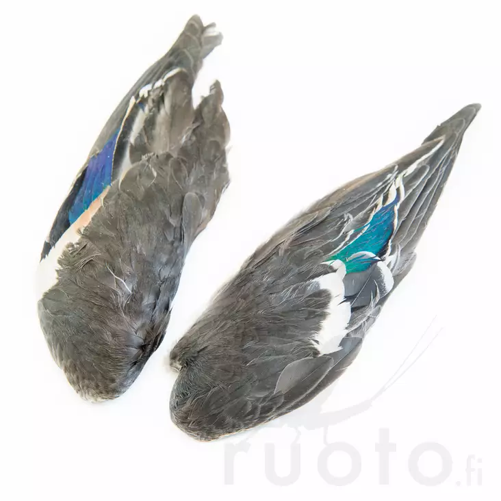 Veniard Teal Duck Wings - Nahat, siivet ja päät - 5056304604685 - 1