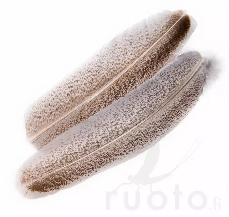 Veniard Turkey Oak Mottled Wing Quills - Klassiset sulat - 5056304606122 - 1