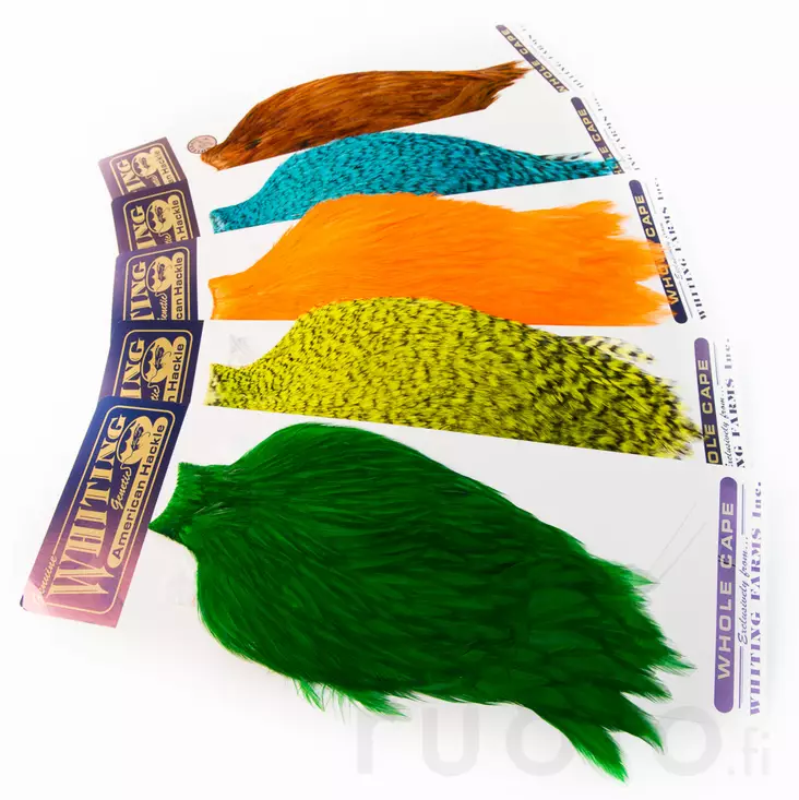 Whiting American Rooster Cape - Muut kukonniskat ja -satulat - 40350200001 - 1