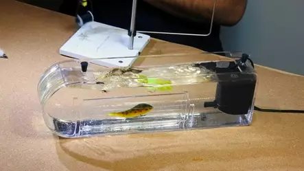 Flymen Fishing Co Fly Tester - Muut työkalut - 7081385297462 - 2