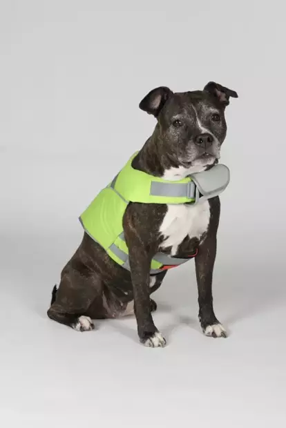 Hundra Koiran Pelastusliivi - Koiran liivit ja -vaatteet - 6438347048432 - 2