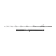 Penn Regiment IV Jig Cast 6' 20-30lb - Jigging-vavat - 031324001992 - 2