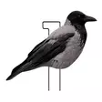 Final Approach Live Hooded Crow Silhouettes 12pcs - Houkutuskuvat / -kaaveet - 728204413722 - 1