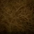 FTS CDC Dubbing 1g - Dubbingit - 40600100012 - 8
