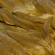Futurefly Signature Soft Hackle - Kananniskat ja -satulat - 40350200222 - 5