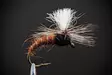 Klinkhamer Brown -pintaperho - Muut lohiperhot - 8859202532282 - 1