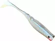 Mikado Fishunter TT 7,5cm / 5 kpl - Lapiopyrstöiset kalajigit - 1730343032 - 15