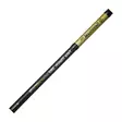 Mikado Sensual N.G. Tele Match 3,90m 5-25g - Match- & waggler-vavat - 5900637071792 - 3