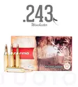 Norma Oryx .243 Win 6,5g 20pcs - Patruunat 243 Winchester - 7393923304762 - 1