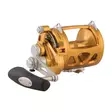 Penn International 30VISW Gold - Kevyet rannikkokelat - 031324167032 - 1