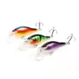 Tunkkionki 5cm - Vaaput 6-10 cm - 2401202252 - 2