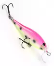 Tunkkionki 5cm - Vaaput 6-10 cm - 2401202252 - 4