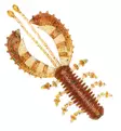 URBN Bubble Creeper 7,5cm - Mallistosta poistuvat jigit - 2102202112 - 2