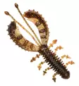 URBN Bubble Creeper 7,5cm - Mallistosta poistuvat jigit - 2102202112 - 4