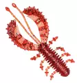 URBN Bubble Creeper 7,5cm - Mallistosta poistuvat jigit - 2102202112 - 6