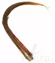 Veniard Golden Pheasant Complete Tail - Pyrstöt - 40450100022 - 3