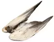 Veniard Mallard Duck Wings - Nahat, siivet ja päät - 5056304601943 - 2