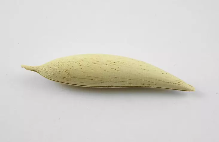 Aihio nro 12, 65 mm, apassia - Vaappuaihiot ja -rungot - AIHIO-12 - 1