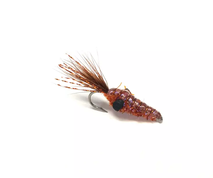 Copper Shrimp - Katka-/katkarapuperhot - 7033840463752 - 1