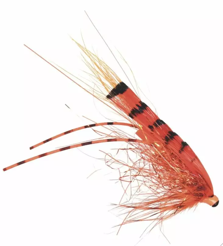 Frödin Flies Micro Series G.P. Special - Putkiperhot - 7340154606462 - 1