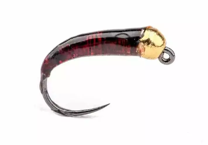 Glue Larva Brown Gold Bead - Nymfit ja larvat - 8859202512 - 1