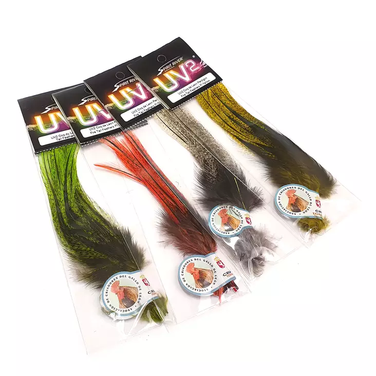 UV2 Coq De Leon Perdigon Fire Tail Feathers - Muut sulat ja höyhenet - 40450200502 - 1