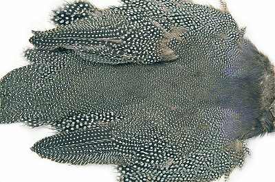 Veniard Guinea Fowl Skin - Nahat, siivet ja päät - 404004000012 - 1