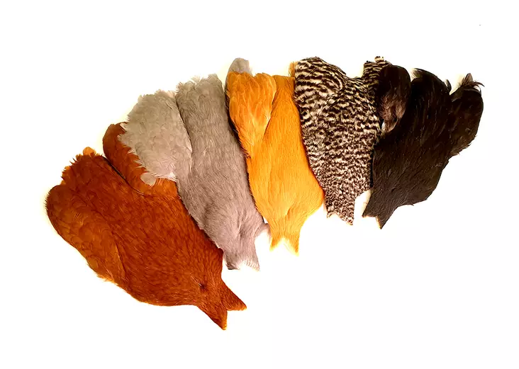 Whiting 4Bs Hen Cape - Muut kukonniskat ja -satulat - 748012 - 1