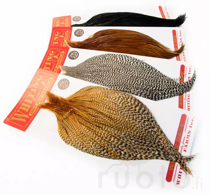 Whiting Dry Fly Cape Bronze Grade - Pintaperhoniskat ja -satulat - 403501000012 - 1