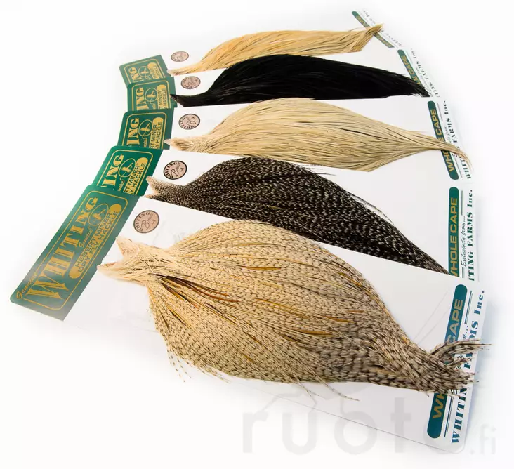 Whiting Hebert Miner Dry Fly Cape Bronze Grade - Pintaperhoniskat ja -satulat - 40350100002 - 1