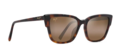 Maui Jim Kou - Tortoise Frame with HCL Bronze Lens - Lasilinssit - 603429070953 - 1