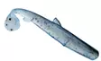 Orka Small Fish Paddle Tail 7cm - Lapiopyrstöiset kalajigit - 2706202300003 - 15