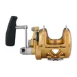 Penn International 50VISX Gold - Kevyet rannikkokelat - 031324167063 - 3