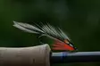 Pro Sportfisher Pro Jungle Cock - Viidakkokukko ja -jäljitelmät - 671227924693 - 3