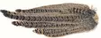 Veniard Hen Pheasant Complete Tail - Pyrstöt - 5056304604623 - 1