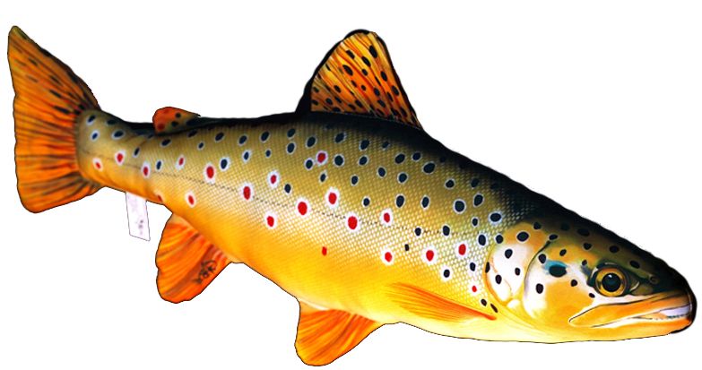 Gaby Taimen Pehmokala - Pehmokalat - 5905279175013 - 1