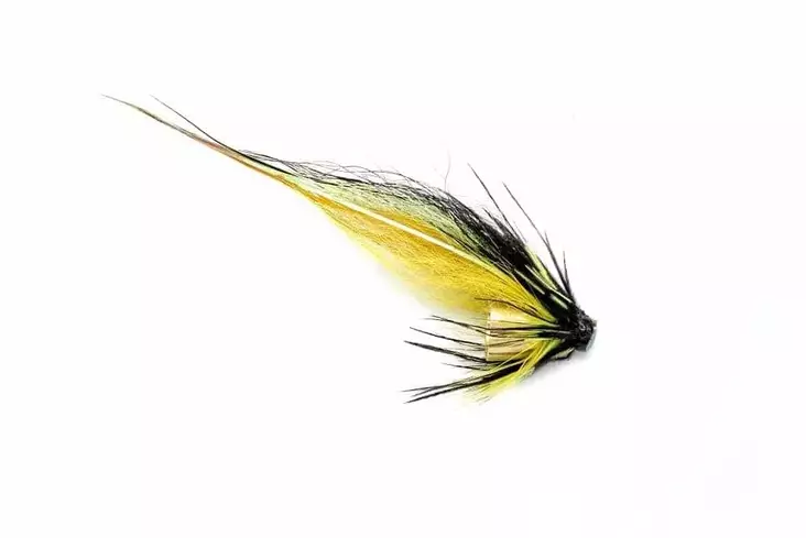 Pikku-Black Highlander Gold Brass 1/4" - Putkiperhot - 8859202538543 - 1