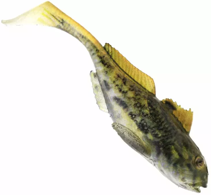 Westin Gunnar The Goby 6,5cm 3,5g 3pcs - Lapiopyrstöiset kalajigit - 1730013 - 1