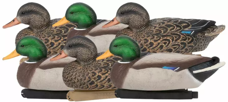 Zink Mallard Floater Decoys 6-pack - Houkutuskuvat / -kaaveet - 888151061183 - 1