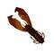 Boogie Craw 75 7,5cm 10kpl - Rapujigit ja hyönteisjäljitelmät - 17300300804 - 2