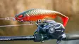 Daiwa Prorex Lazy Shad 24cm - Haukishadit yli 100g - 2510202214 - 15