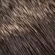Hareline Comparadun Deer Hair - Vartalokarvat - 7628200124444 - 2