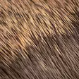 Hareline Comparadun Deer Hair - Vartalokarvat - 7628200124444 - 3