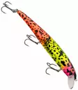 HL-Fish Pomperi PRO-X12 - Vaaput +10 cm - 280222024 - 12